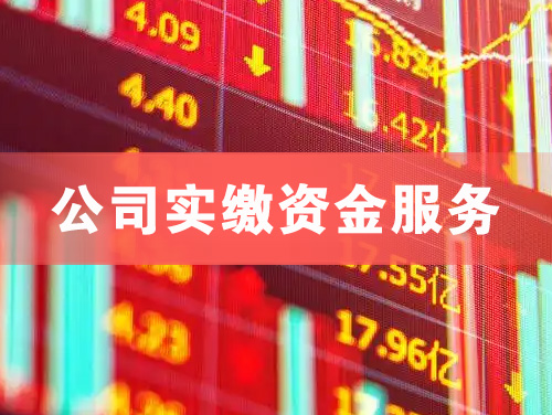 福州公司实缴资金服务